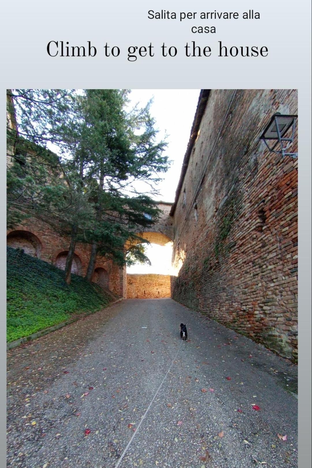 Teresa Al Belvedere Rooms&Holidayapartments Camere&Appartamenti Castellinaldo Exterior photo