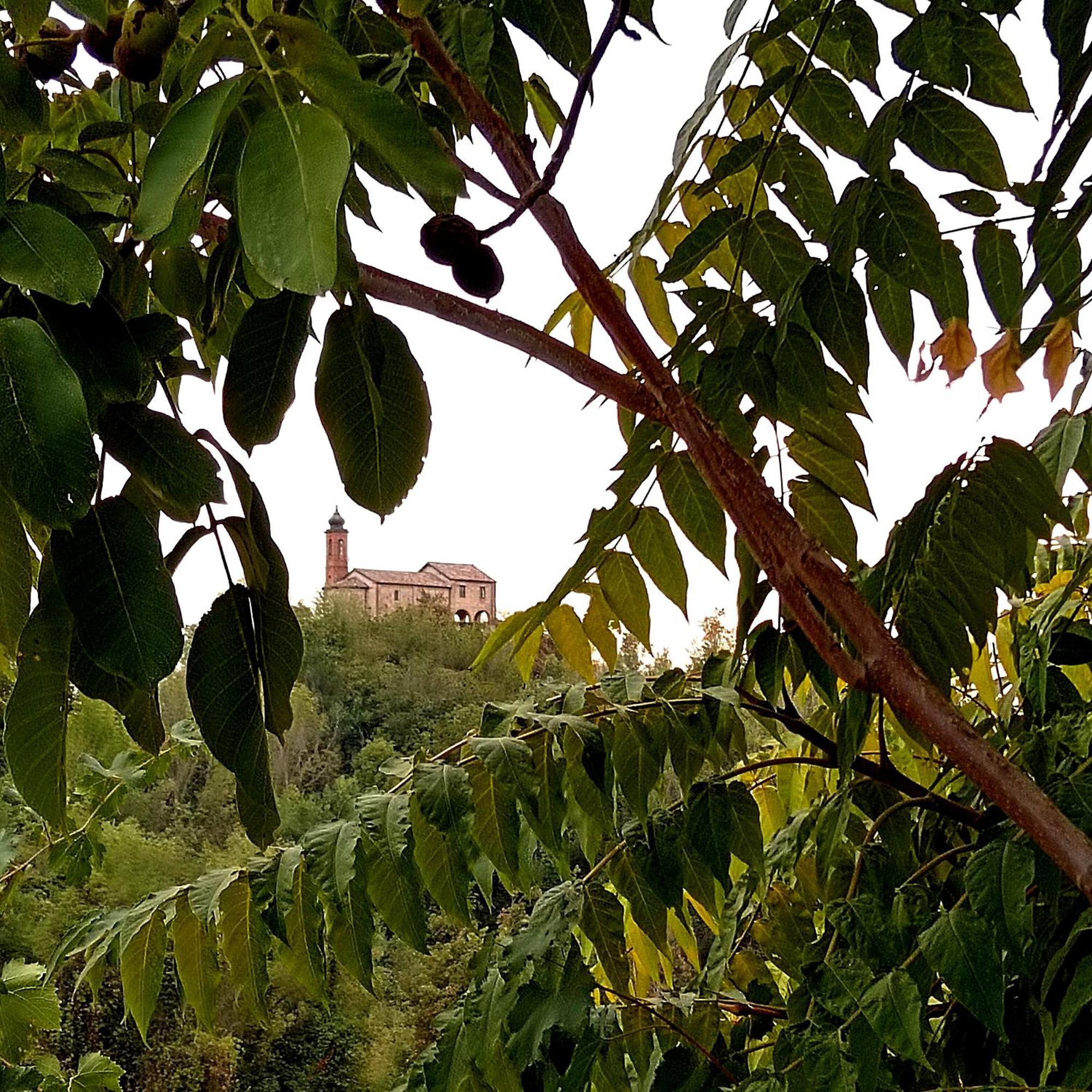 Teresa Al Belvedere Rooms&Holidayapartments Camere&Appartamenti Castellinaldo Exterior photo